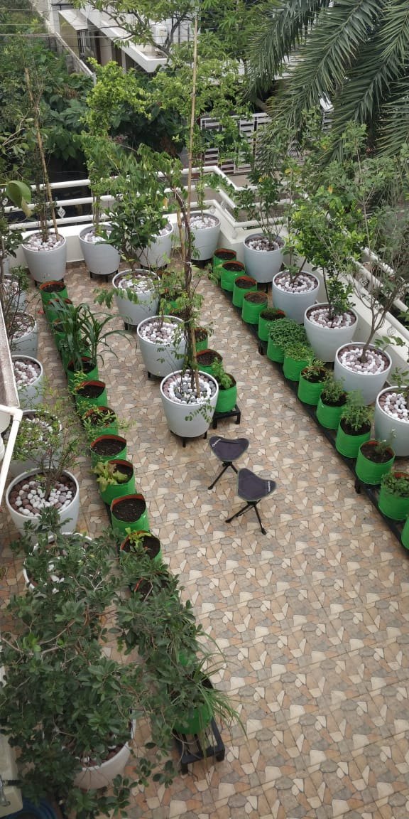 Beautiful Garden