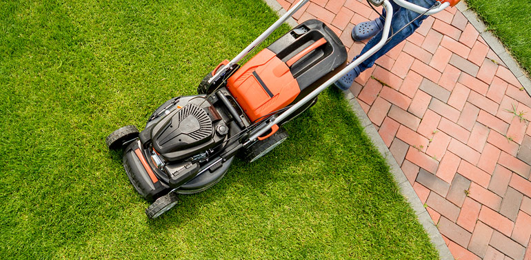 Lawn Maintenance